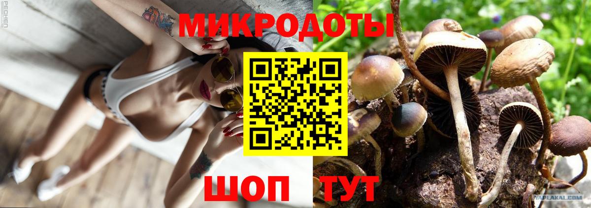 Псилоцибиновые грибы Cubensis Сафоново